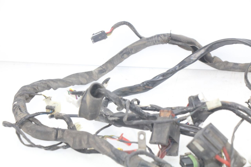 photo de WIRING HARNESS PIAGGIO X9 EVOLUTION 125 (2003 - 2007)