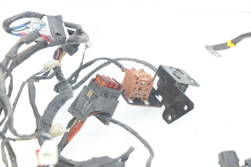 photo de WIRING HARNESS PIAGGIO X9 EVOLUTION 125 (2003 - 2007)