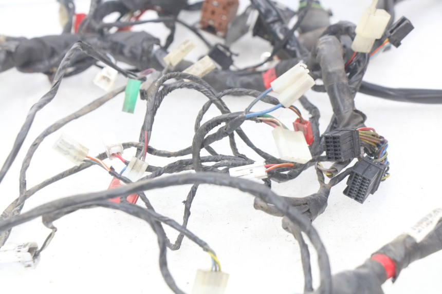 photo de WIRING HARNESS PIAGGIO X9 EVOLUTION 125 (2003 - 2007)