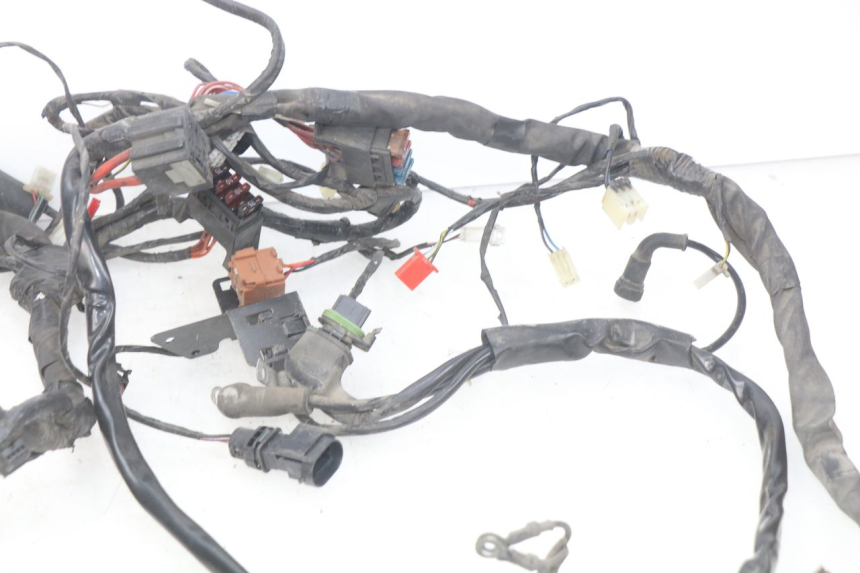 photo de WIRING HARNESS PIAGGIO X9 EVOLUTION 125 (2003 - 2007)