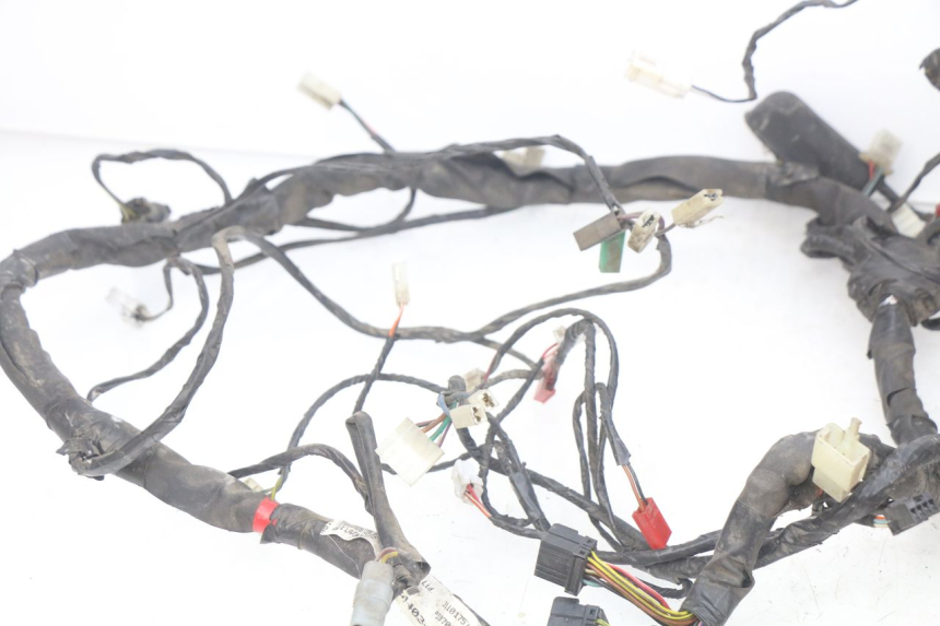 photo de WIRING HARNESS PIAGGIO X9 EVOLUTION 125 (2003 - 2007)