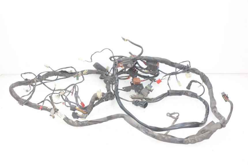 photo de WIRING HARNESS PIAGGIO X9 EVOLUTION 125 (2003 - 2007)