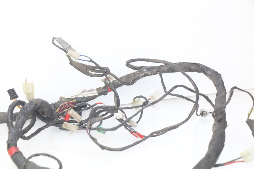 photo de WIRING HARNESS PIAGGIO X9 EVOLUTION 125 (2003 - 2007)