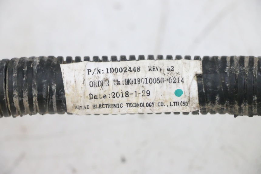 photo de WIRING HARNESS PIAGGIO ZIP 4T 50 (2018 - 2020)