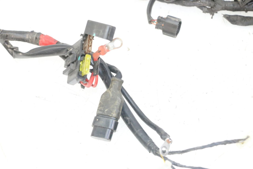 photo de WIRING HARNESS PIAGGIO ZIP 4T 50 (2018 - 2020)