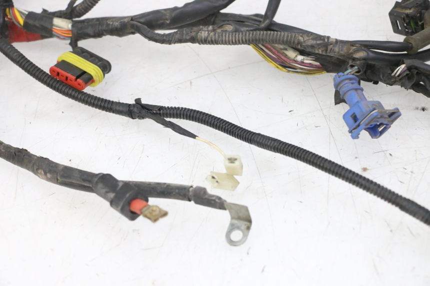 photo de WIRING HARNESS PIAGGIO ZIP 4T 50 (2018 - 2020)