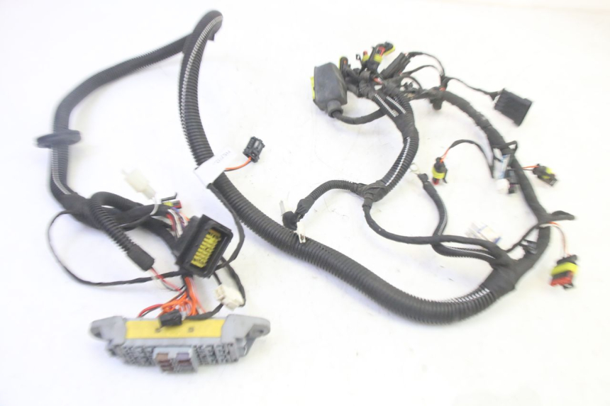 photo de WIRE HARNESS LIGIER PULSE 3 1 (2014 - 2020) - Product overview