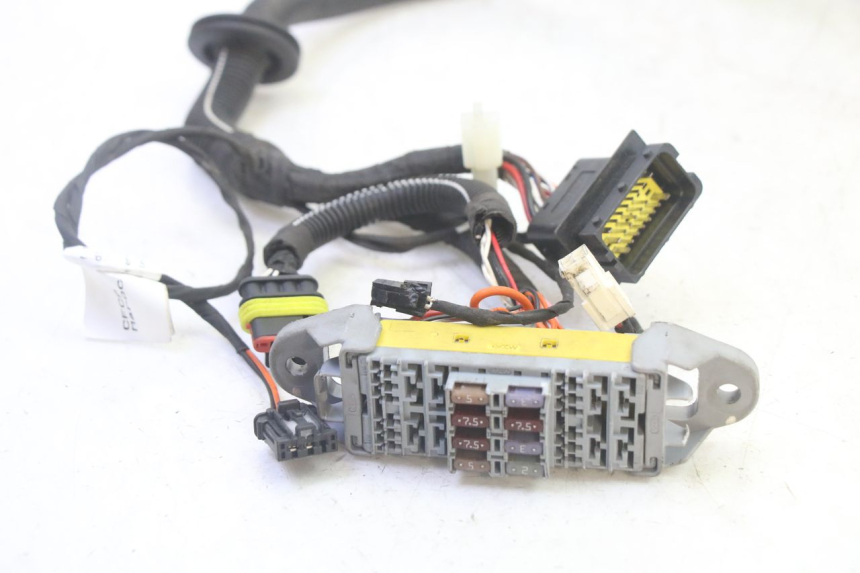 photo de WIRE HARNESS LIGIER PULSE 3 1 (2014 - 2020) - Surface and material condition