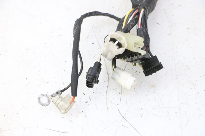 photo de WIRING HARNESS YAMAHA PW 50 (1984 - 2020)