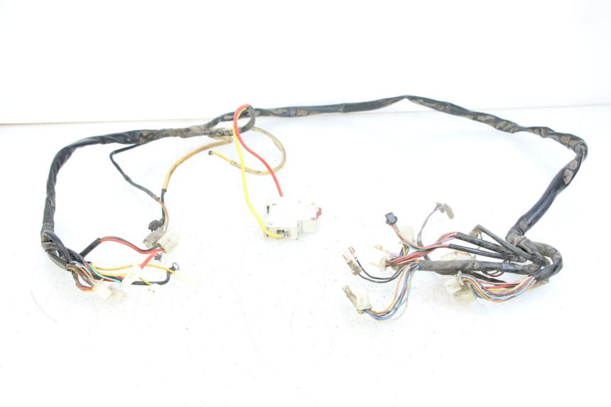 photo de WIRE HARNESS DOLPHIN PYGMY 1 (2020 - 2024)