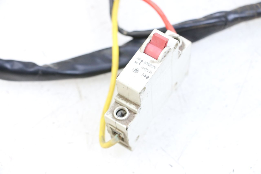 photo de WIRE HARNESS DOLPHIN PYGMY 1 (2020 - 2024)
