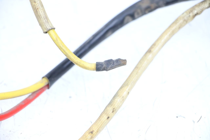 photo de WIRE HARNESS DOLPHIN PYGMY 1 (2020 - 2024)