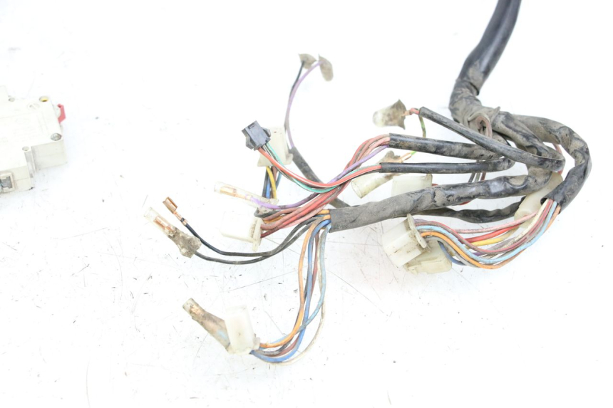 photo de WIRE HARNESS DOLPHIN PYGMY 1 (2020 - 2024)