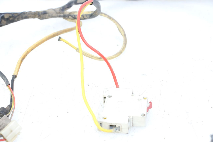 photo de WIRE HARNESS DOLPHIN PYGMY 1 (2020 - 2024)