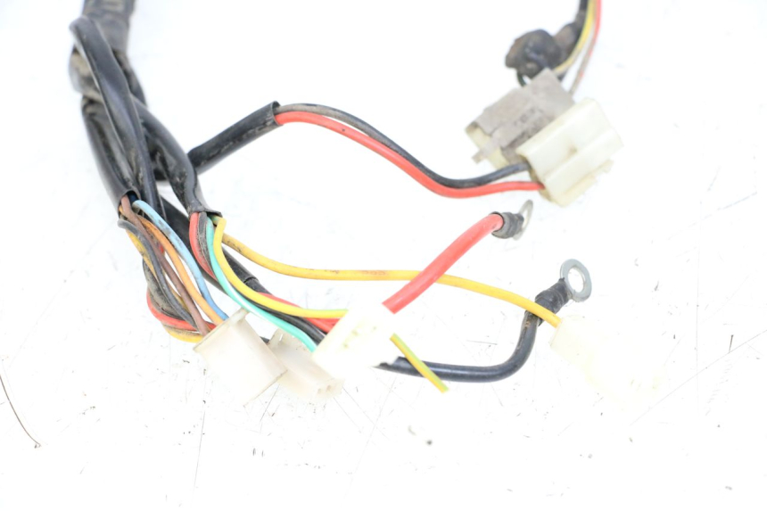 photo de WIRE HARNESS DOLPHIN PYGMY 1 (2020 - 2024)