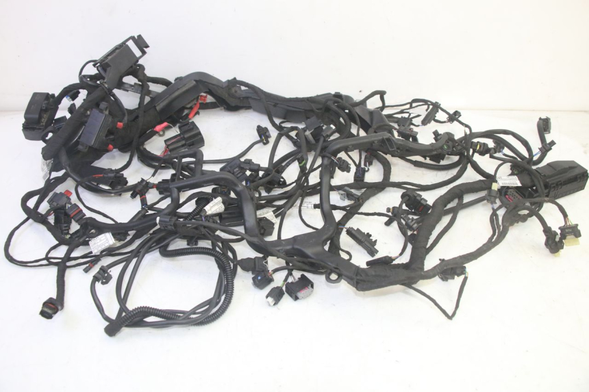 photo de WIRE HARNESS BMW R GS 1250 (2021 - 2024) - Main view