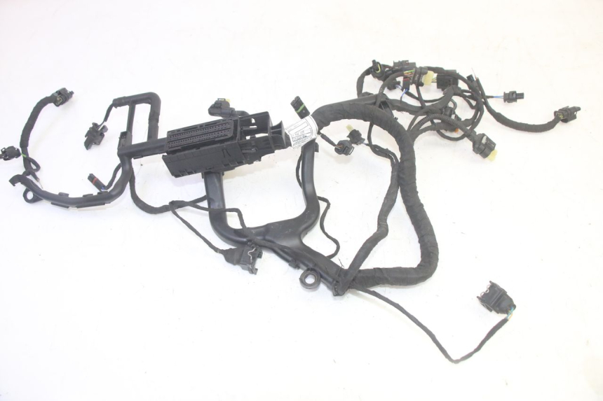 photo de WIRE HARNESS BMW R GS 1250 (2021 - 2024) - Checked used part