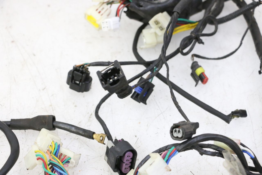 photo de WIRE HARNESS MAG POWER R-STREET 50 (2016 - 2025)