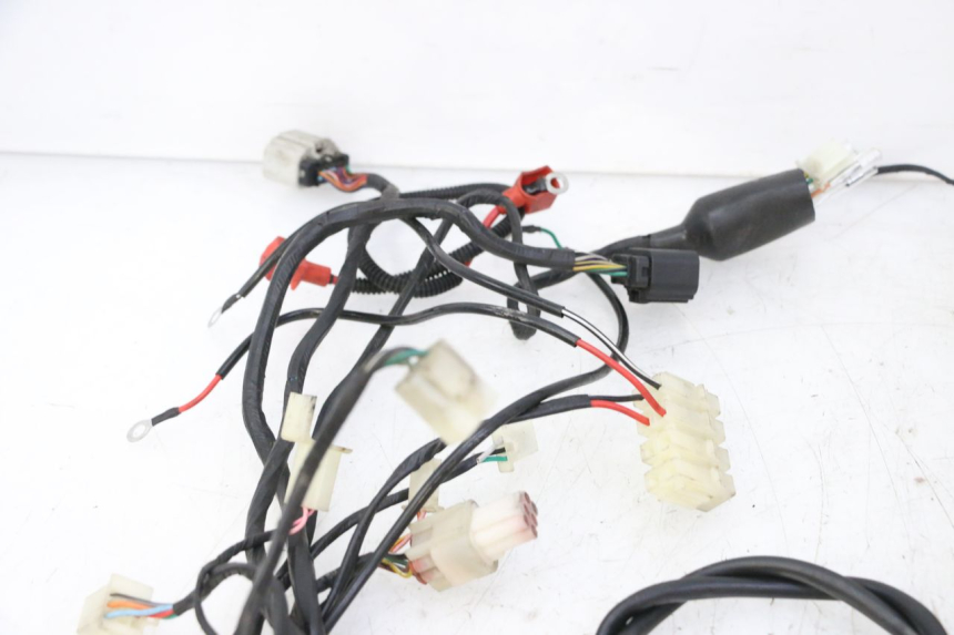 photo de WIRE HARNESS MAG POWER R-STREET 50 (2016 - 2025)