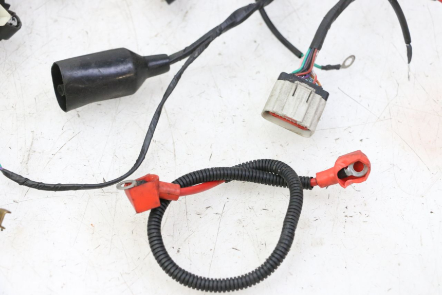 photo de WIRE HARNESS MAG POWER R-STREET 50 (2016 - 2025)