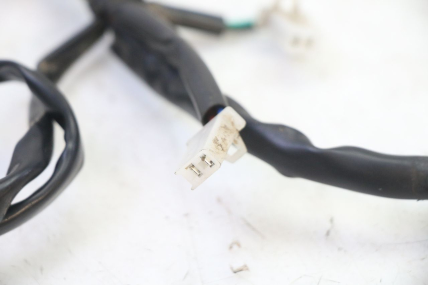 photo de WIRING HARNESS APOLLO RFZ 150