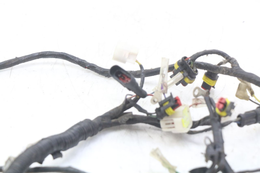 photo de WIRING HARNESS RIDE KALLIO 50 (2010 - 2019)