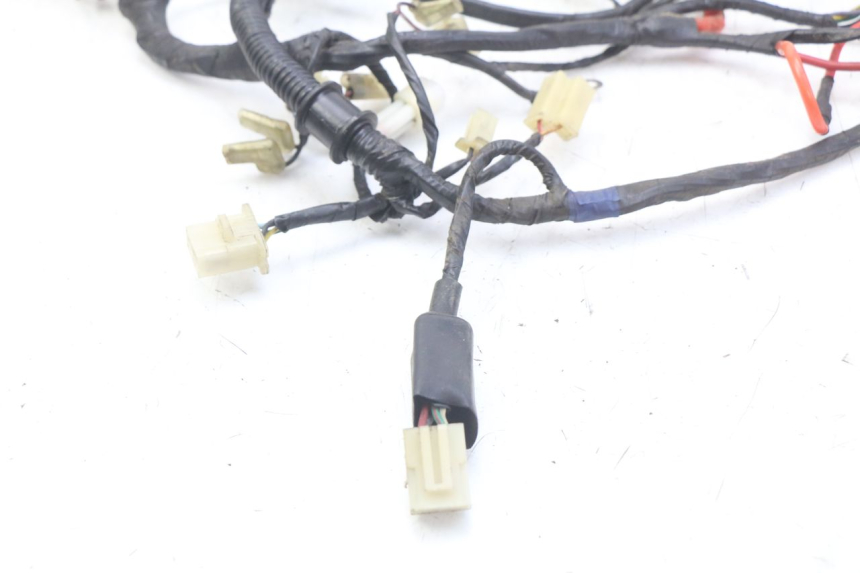 photo de WIRING HARNESS RIDE KALLIO 50 (2010 - 2019)