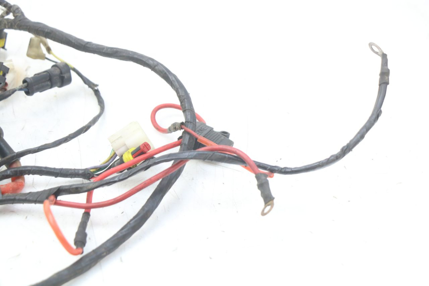photo de WIRING HARNESS RIDE KALLIO 50 (2010 - 2019)