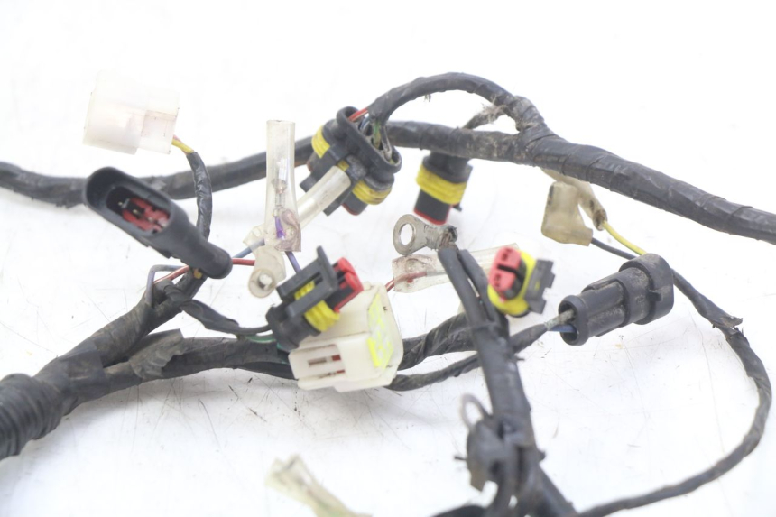 photo de WIRING HARNESS RIDE KALLIO 50 (2010 - 2019)