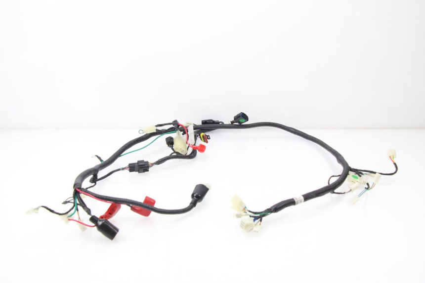 photo de WIRE HARNESS TNT MOTOR ROMA 10' 4T 50 (2007 - 2018) - Main view