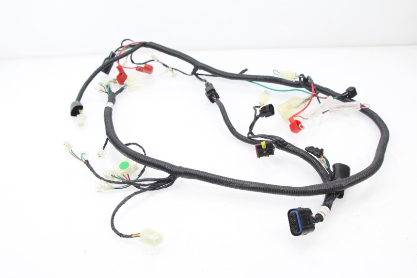 photo de WIRE HARNESS TNT MOTOR ROMA 10' 4T 50 (2007 - 2018) - Component detail