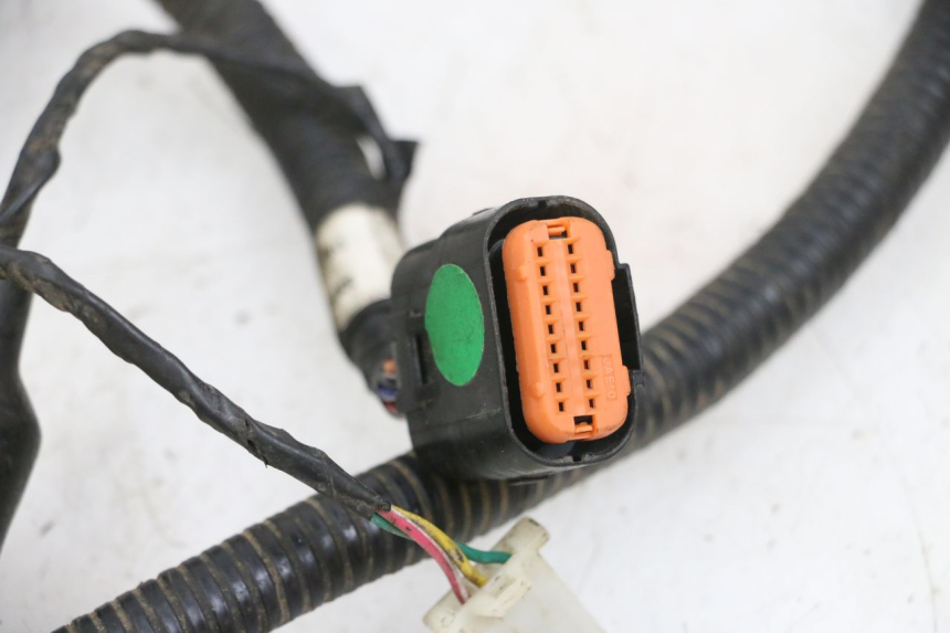 photo de WIRING HARNESS TNT MOTOR ROMA 10' 4T 50 (2019 - 2022) - Alternative perspective