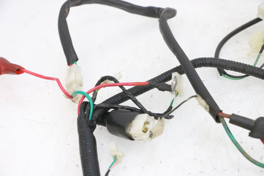 photo de WIRING HARNESS TNT MOTOR ROMA 10' 4T 50 (2019 - 2022) - Technical close-up
