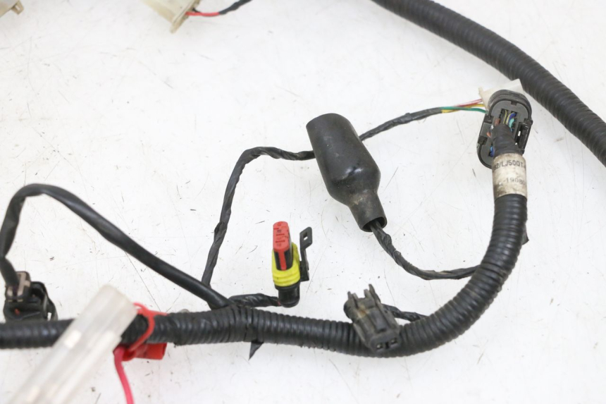 photo de WIRING HARNESS TNT MOTOR ROMA 10' 4T 50 (2019 - 2022) - Product overview