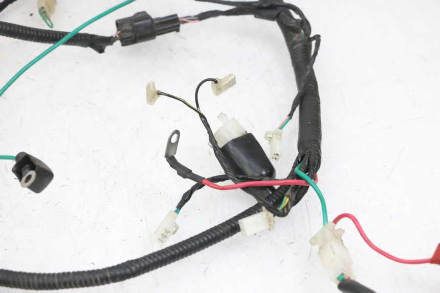 photo de WIRING HARNESS TNT MOTOR ROMA 10' 4T 50 (2019 - 2022) - Markings and original references