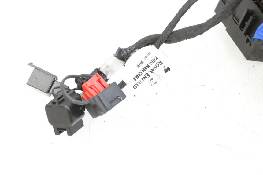 photo de WIRE HARNESS ROYAL ENFIELD CONTINENTAL GT 650 (2019 - 2024)