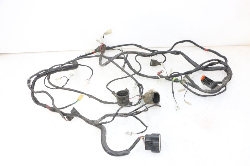 photo de WIRE HARNESS GILERA RUNNER SP 50 (2009 - 2017)