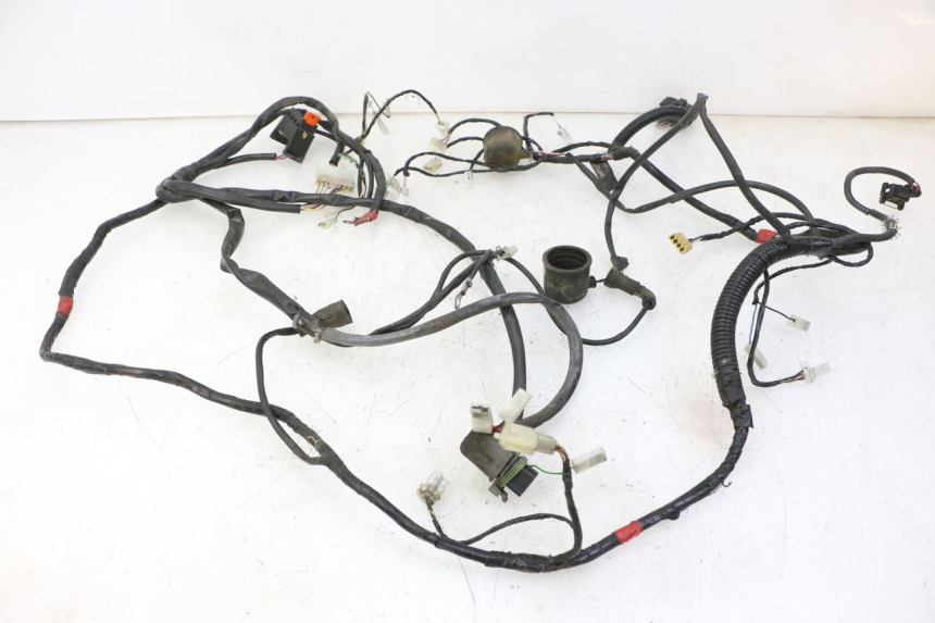 photo de WIRE HARNESS GILERA RUNNER SP 50 (2009 - 2017)