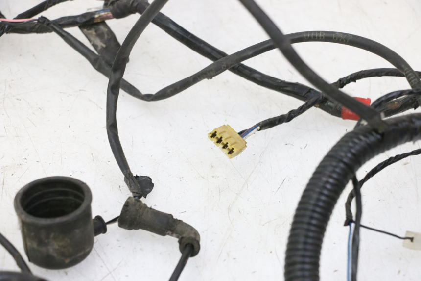 photo de WIRE HARNESS GILERA RUNNER SP 50 (2009 - 2017)