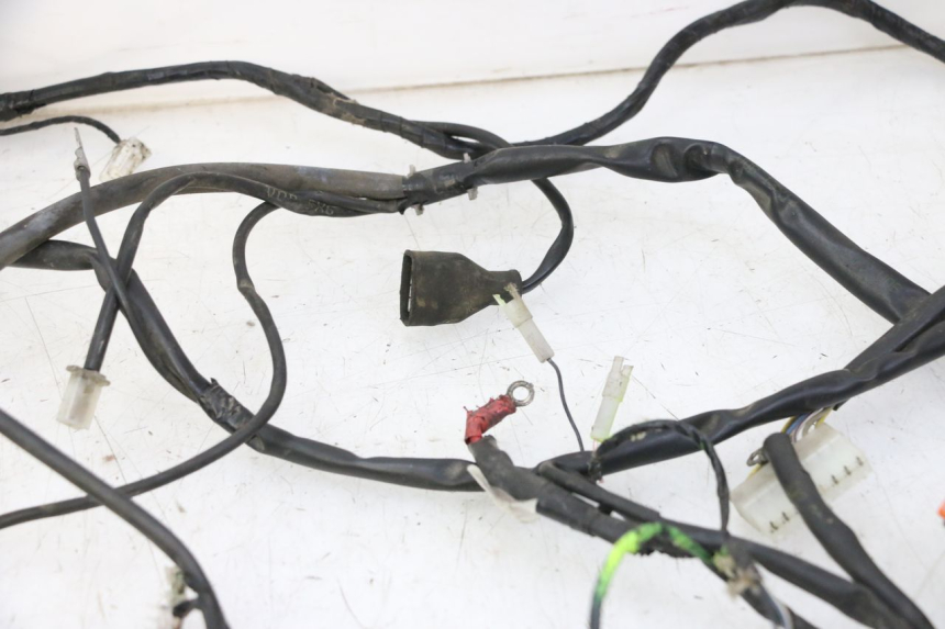 photo de WIRE HARNESS GILERA RUNNER SP 50 (2009 - 2017)