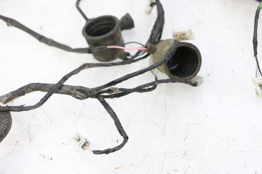 photo de WIRE HARNESS GILERA RUNNER SP 50 (2009 - 2017)