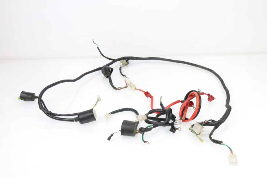 photo de WIRE HARNESS SAMPO LY50QT-21 50 (2009 - 2014)
