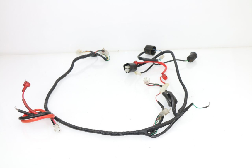 photo de WIRE HARNESS SAMPO LY50QT-21 50 (2009 - 2014)