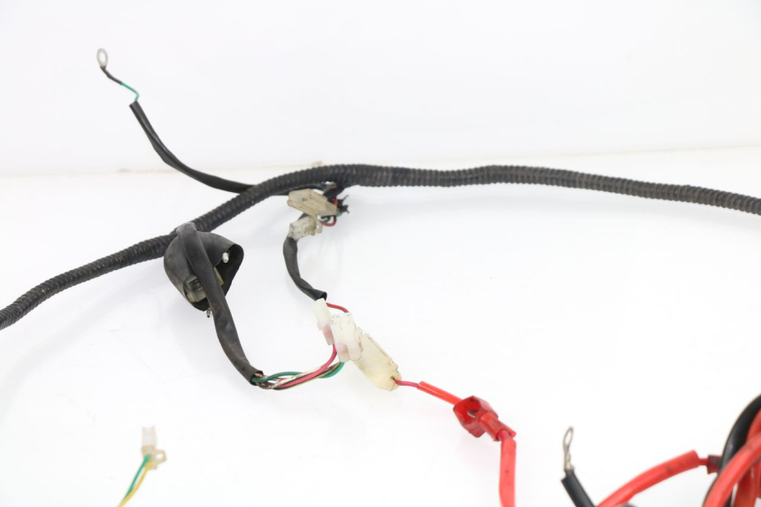 photo de WIRE HARNESS SAMPO LY50QT-21 50 (2009 - 2014)