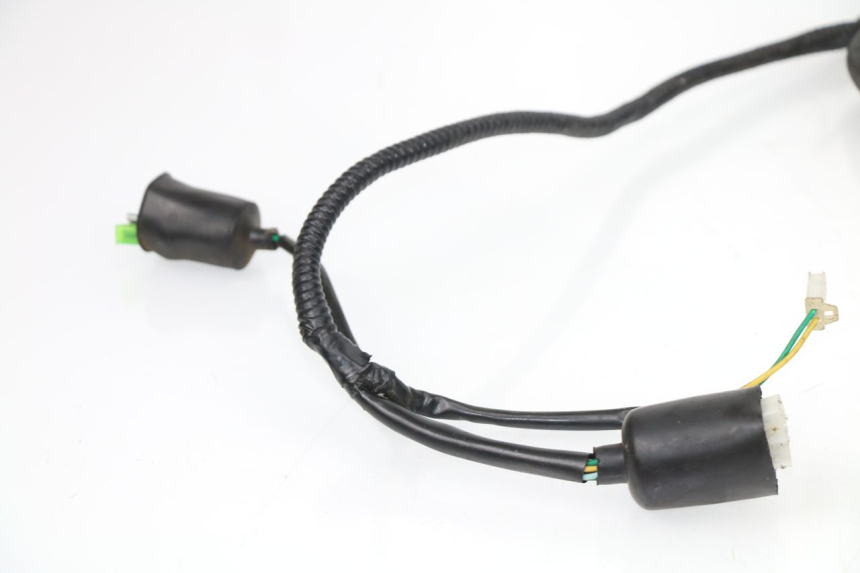 photo de WIRE HARNESS SAMPO LY50QT-21 50 (2009 - 2014)