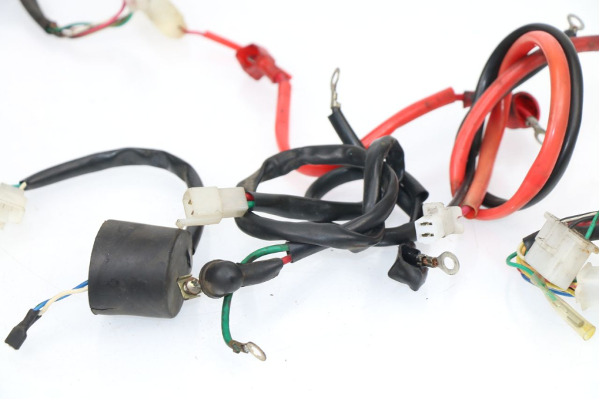 photo de WIRE HARNESS SAMPO LY50QT-21 50 (2009 - 2014)