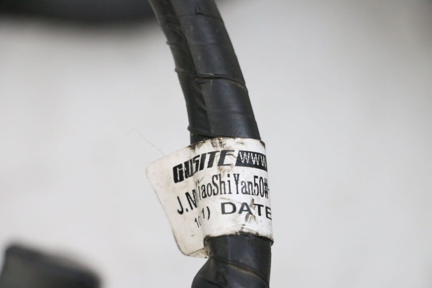 photo de WIRE HARNESS JM MOTORS SANTANA EVO 50 (2024 - 2026) - Zoom on usage condition