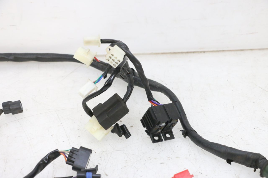 photo de WIRE HARNESS JM MOTORS SANTANA EVO 50 (2024 - 2026) - Surface and material condition