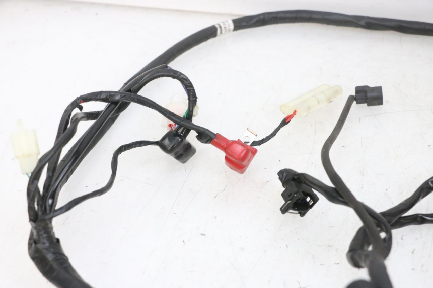 photo de WIRE HARNESS JM MOTORS SANTANA EVO 50 (2024 - 2026) - Checked used part