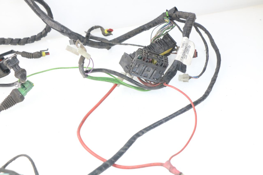 photo de WIRE HARNESS PEUGEOT SATELIS 300 (2012 - 2015)